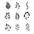 Set of simple leaf patterns for decorating black and white