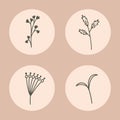 Set of simple little flowers. Icons isolated on retro background. Perfect for printing on fabric or paper Royalty Free Stock Photo