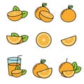 Set of simple orange fruit vector illustration isolated on white background Royalty Free Stock Photo