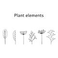 Set of simple Plant elements isolated on a white background. . Royalty Free Stock Photo