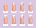 Set of simple realistic natural manicured nails with different shapes. Vector illustration for your graphic design.