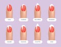 Set of simple realistic red manicured nails with different shapes. Vector illustration for your graphic design.