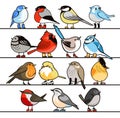 Set of funny small birds, vector illustration Royalty Free Stock Photo