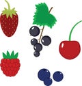 Set of simple vector berries