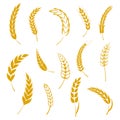 Set of simple wheats ears icons and grain design elements for beer, organic wheats local farm fresh food, bakery themed