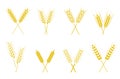 Set of simple wheats ears icons and wheat design elements. Royalty Free Stock Photo