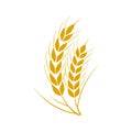Set of simple wheats ears icons and wheat logo design elements for beer, organic fresh food corn farm, bakery themed