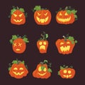 Set of simple yellow halloween pumpkins with vines and green leaves. Royalty Free Stock Photo