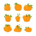 Set of simple yellow pumpkins with leaves and vines.