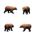 Set of a single brown bear on white background