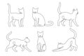 A set of single-line drawn cats. Minimalistic cat outlines, various hand-drawn cat poses and movements, a set of vector Royalty Free Stock Photo