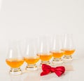 Set of single malt tasting glasses, single malt whisky in a glasses, white background, red bow Royalty Free Stock Photo