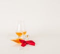 Set of single malt tasting glasses, single malt whisky in a glasses, white background, red bow Royalty Free Stock Photo