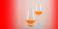 Set of single malt tasting glasses, single malt whisky in a glasses Royalty Free Stock Photo