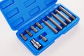 A set of single-sided chrome steel bits in a blue plastic box Royalty Free Stock Photo