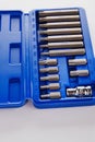 A set of single-sided chrome steel bits in a blue plastic box Royalty Free Stock Photo