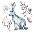 Set of sitting hare and plants watercolor illustration isolated on white.