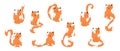 Set of sitting orange spotted cats, with long tails. Kittens characters, cute pets, can be used as element decor, design