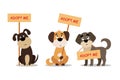 Set of sitting and standing dogs with a poster Adopt me. Dont buy - help the homeless animals find a home, kit of sad