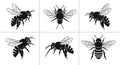 Set of Six Black and White Bee Silhouettes Royalty Free Stock Photo