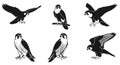 Set of Six Silhouette Falcon Illustrations Royalty Free Stock Photo