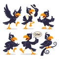 Happy Cartoon Crows with Various Poses and Expressions Royalty Free Stock Photo