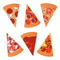 Set of six different pizza slices. Pizza with different fillings Royalty Free Stock Photo