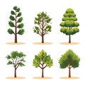 Set six different trees isolated white background. Flat graphic style design, vibrant green