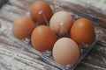 Set of six fresh brown eggs on clear plastic box. Wooden table background. Royalty Free Stock Photo