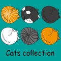 Set of six funny cats, isolated on turquoise Royalty Free Stock Photo