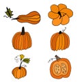 Set of six hand drawn orange pumpkins. Cartoon style pumpkins on an isolated white background. Thanksgiving Halloween greeting Royalty Free Stock Photo