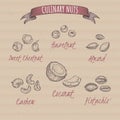 Set of six most common nuts - hazelnut, sweet chestnut, coconut, almond, pistachio, cashew. Culinary nuts series.