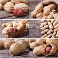 Set of six peanut close-up photo