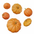 Set of six pumpkins of different sizes and shapes for halloween isolated white background Royalty Free Stock Photo