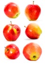 Set of six Red apples closeup isolated on white background. Juicy fruit. Healthy food. Royalty Free Stock Photo