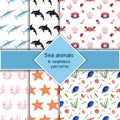 Set with six sea animal seamless pattern with killer whale, swordfish and coral, crab starfish and seashall. Undersea