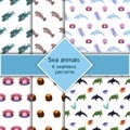 Set with six sea animal seamless pattern with killer whale, turtle and dolphin, jellyfish seahell with pearl.