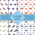 Set with six sea animal seamless pattern with seal, dugon, whale and stringray, crab starfish. Undersea world habitants