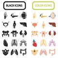 Set of sixteen human organs and anatomic parts color and black flat icons