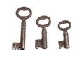 Set of skeleton keys Royalty Free Stock Photo