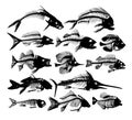 A set Skeletons of fishes. Royalty Free Stock Photo