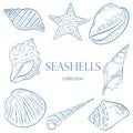 Set of sketch seashells vector illustration.