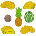 Set sketch silhouette sketch watermelon, coconut, banana, pineapple white background illustration