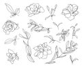 Set of sketches and line doodles. Isolated flowers, leaves - for decoration prints, labels, patterns. - Vector illustration.