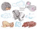 Set of sleeping watercolor hand drawn animals, clouds. Elephant, dog, bear, mouse, hedgehog liying on the white background