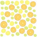 Set of slice of citrus tropical fruits