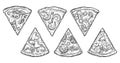 Set slice pizza Pepperoni, Hawaiian, Margherita, Mexican, Seafood, Capricciosa. Royalty Free Stock Photo