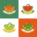 Set of sliced fruits in bag. Abstract creative flat logo