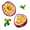 Set of sliced passion fruit and mint leaves watercolor illustration isolated on white. Royalty Free Stock Photo