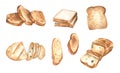 Set of slices bread. Watercolor illustration